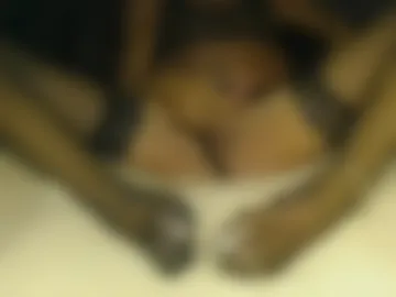 elgsslt webcam preview