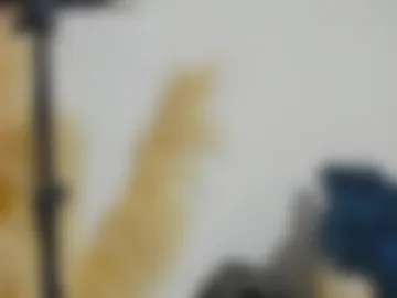 elio_x webcam preview