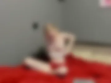 eliteeros photo 3