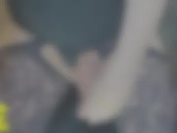 elizabethfox photo 4