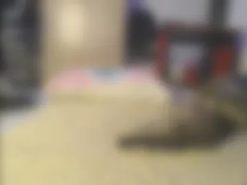 ellababy8 webcam preview