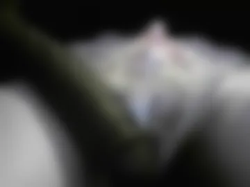 elliesissy webcam preview