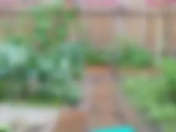 ells_palace webcam preview