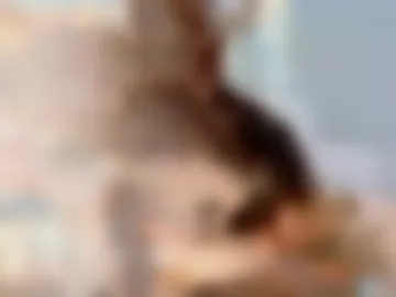 elosocazador photo 7