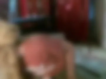 embershines webcam preview