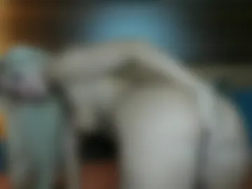 emilyeclairxxx photo 3