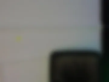 emilyhendrix_ webcam preview