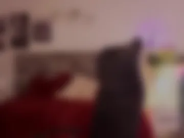 emilyrousex webcam preview