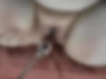 emjbbw photo 3