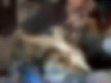 emotr4ns live webcam preview