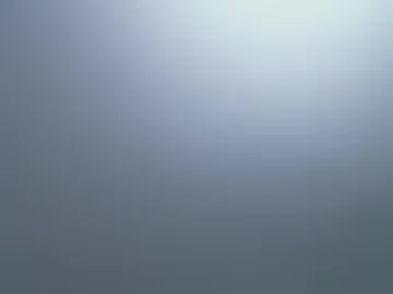 enchantedvee photo 8