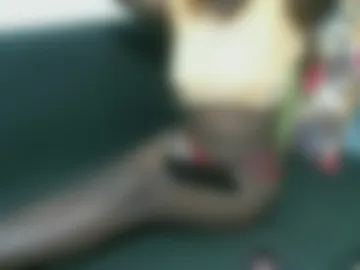 enchantedvee photo 7