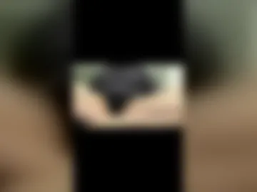 eric123754216 photo 8