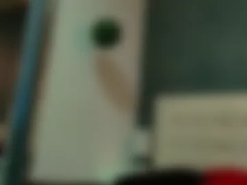 erick_zhimerman photo 5