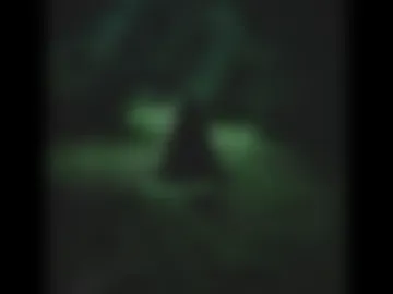 erostheforestcryptid live webcam preview