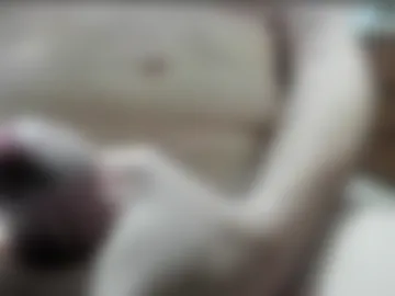 eternity101 live webcam preview