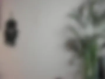 euphoria_life webcam preview