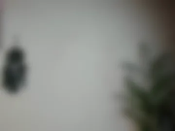 euphoria_life webcam preview