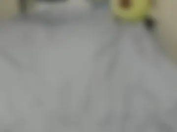eva_zero webcam preview