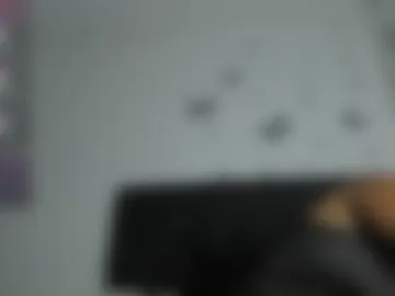 evahalston webcam preview