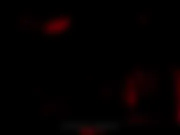 evelyn_chelle webcam preview