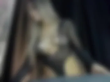 evelynvlove webcam preview