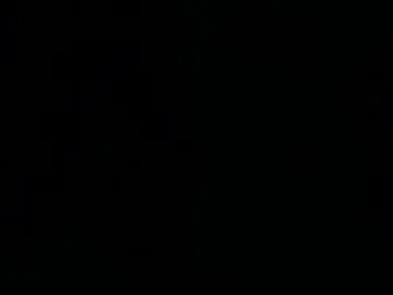 everevan live webcam preview