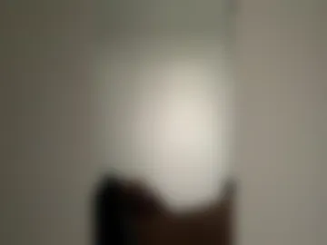 everxv live webcam preview