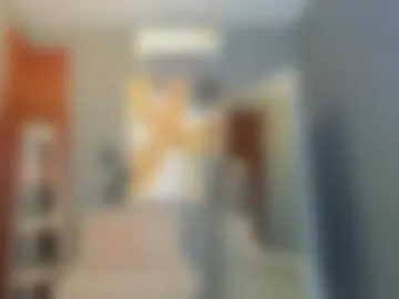 everyh webcam preview