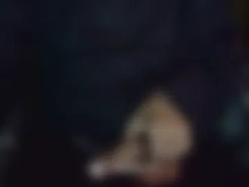 evilshadow41 photo 5