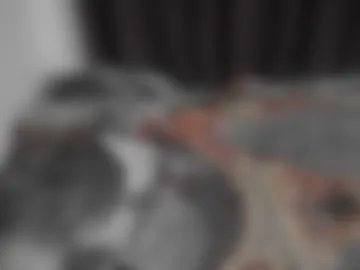exlyy live webcam preview