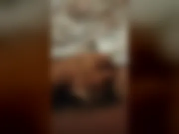 fabio18818 live webcam preview