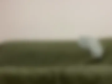 falkor_xl live webcam preview