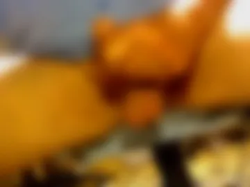fastoys2016 webcam preview