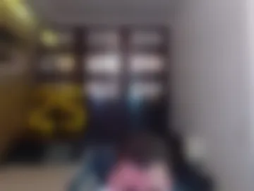 felixrook webcam preview