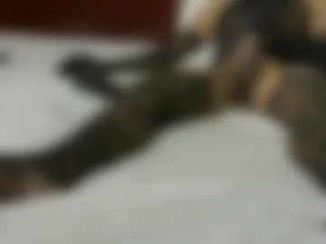 femboy_lover_ps02 live webcam preview