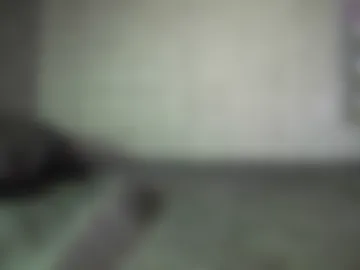 fernando_tlk webcam preview