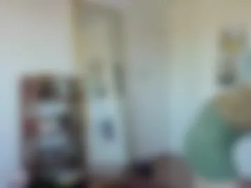 fernydew webcam preview