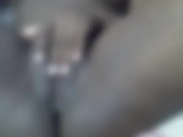 fillyun live webcam preview