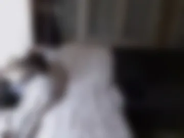 findo1991 live webcam preview