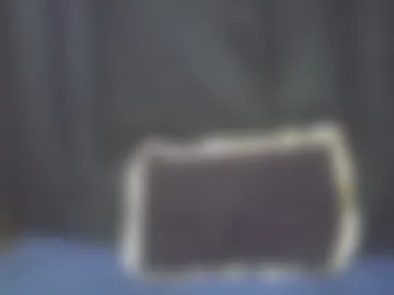 fine_ass24 webcam preview