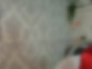 firekatie webcam preview