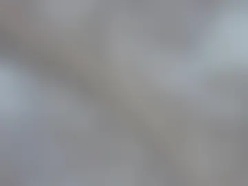 fireskar live webcam preview