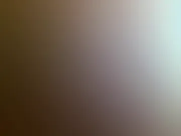 fitbut webcam preview