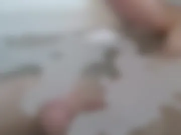 fiveforwilly1 photo 7