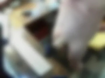 fleshlight4246 photo 2