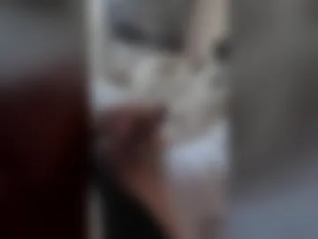 flyingbanana123 live webcam preview