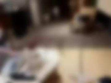 flynn_bolt webcam preview