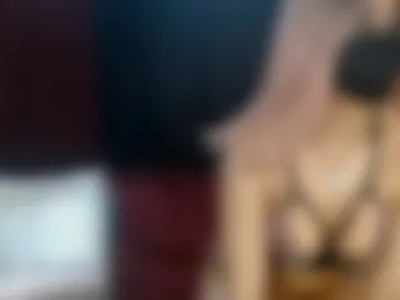 fogbunny webcam preview