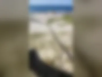 foksyman live webcam preview